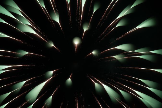 Bright fireworks on night sky