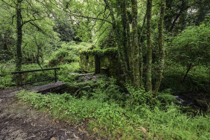 Old water mill in the forest, wooden bridge over stream