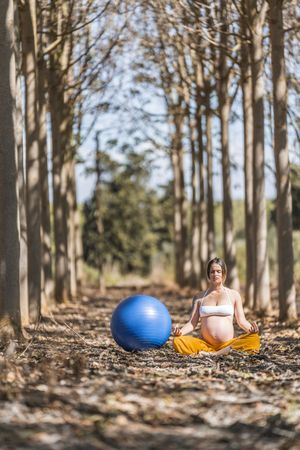 Serene adult pregnant woman meditating while sitting on ground among trees in park during sunny day
