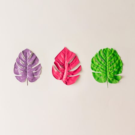 Painted colorful tropical leaves on light background