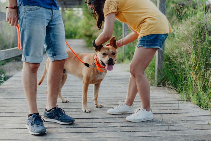 Happy adult couple playing with dog at countryside