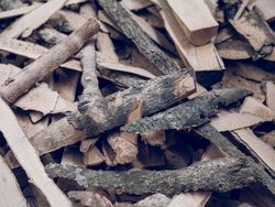 Pile of wood in countryside