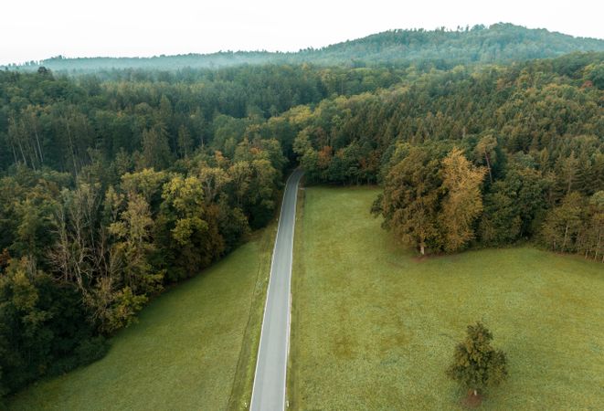Drone shot with road going into the Forest, Germany