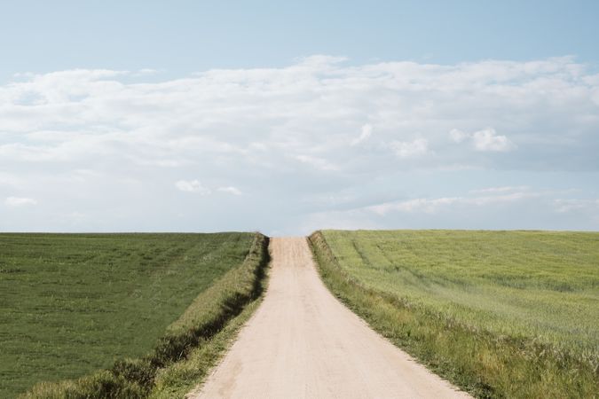 Beautiful landscape with road between fields