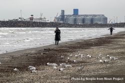Two people walking on seashore near seaport during winter 0Jxq84