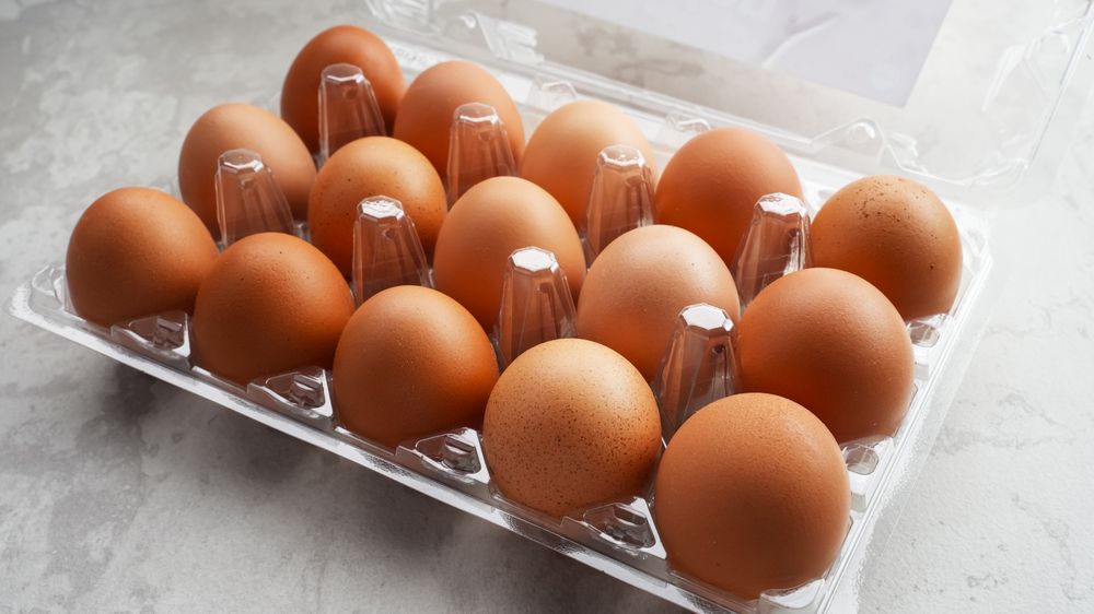 Organic chicken eggs in plastic packaging
