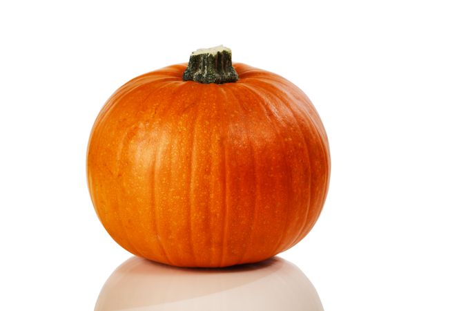 Real pumpkin on background for Autumn Halloween holiday