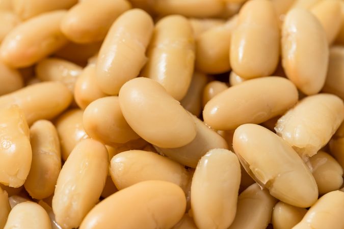 Healthy Organic White Cannelloni Beans