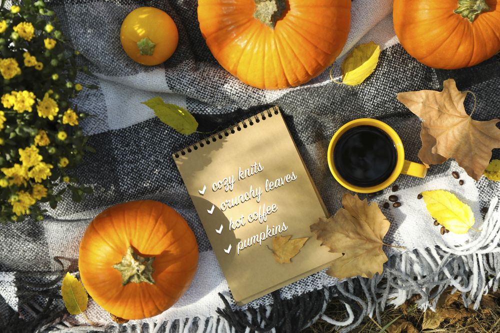 Cozy autumn concept with pumpkins outdoor, top view
