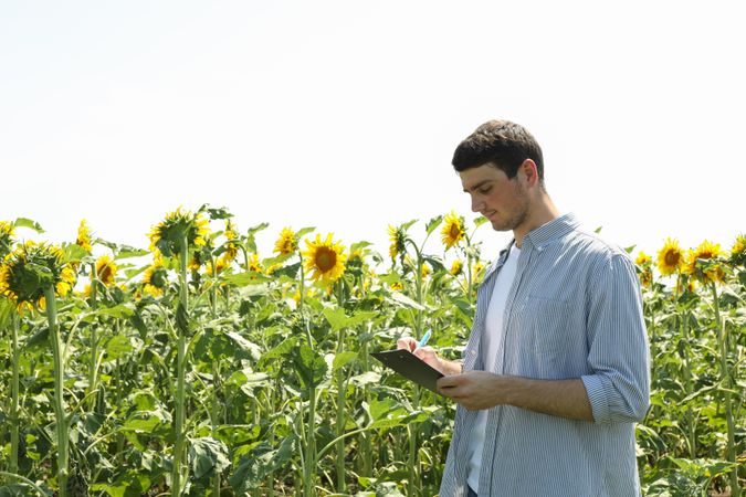 Man with clipboard in sunflower field. Agriculture business