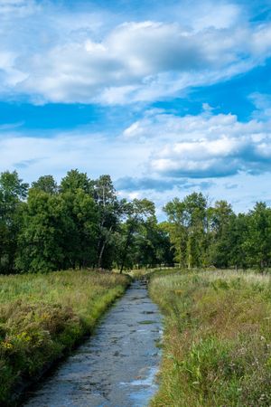 A walking path in nature