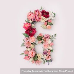 Letter G made of real natural flowers and leaves 0LVED4