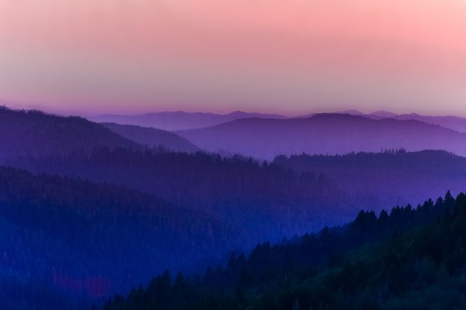 Pink purple sunset over Northern Californian mountains with tall grass in foreground