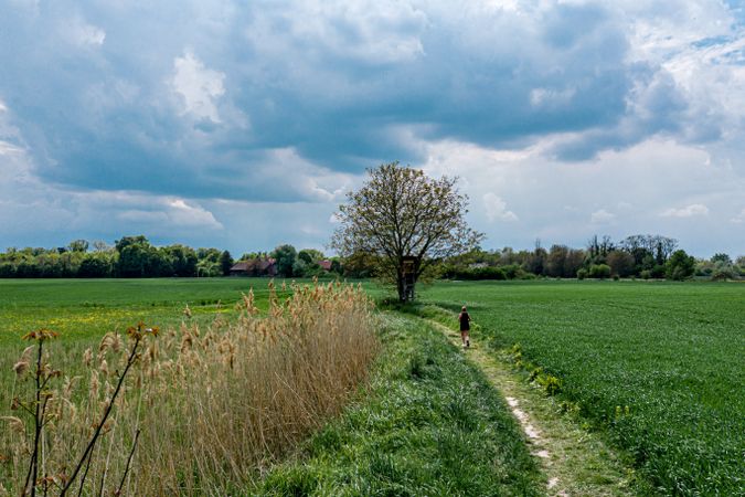 A drone view of the beautiful of young green meadows