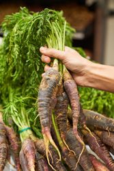 Female hand with radish in hand in a fruit shop