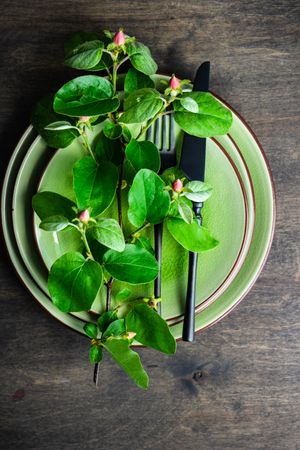 Spring table setting with fresh branch on green plate