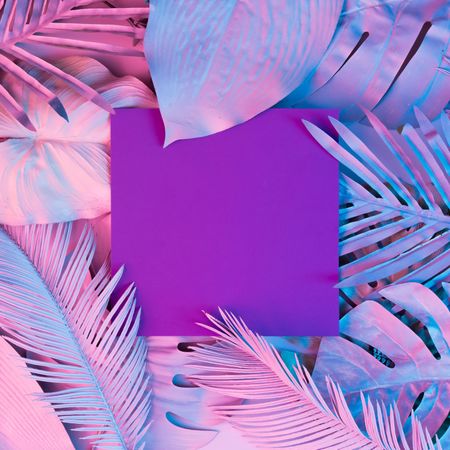 Tropical and palm leaves in vibrant bold gradient holographic colors with purple square
