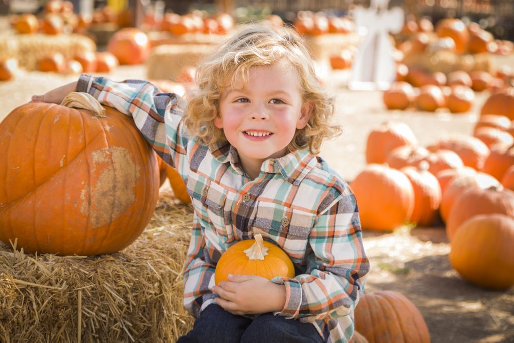 Little Boy Sitting and Holding His Pumpkin at Pumpkin Patch.