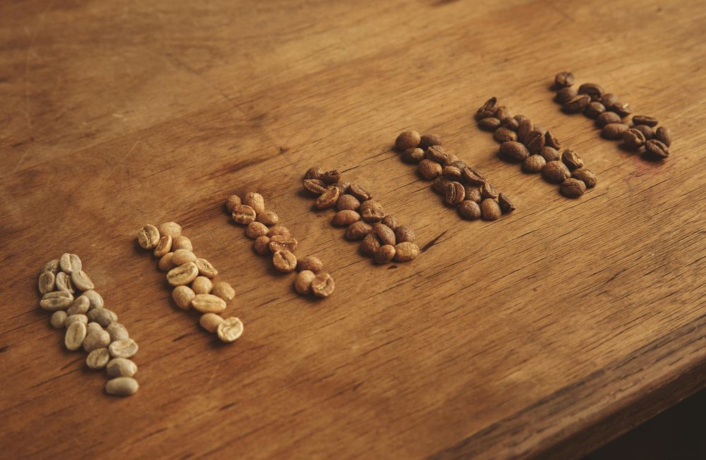Seven kinds from raw fresh beans to chocolate warm baked fine for espresso