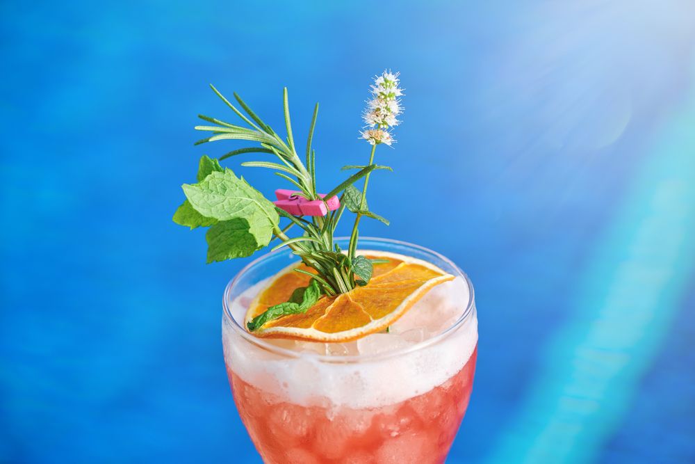 Glass of cocktail with mint and citrus slice