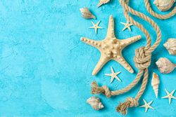 Starfish, seashells and sea rope on color background, space for text and top view. Summer vacation backdrop
