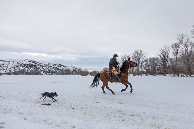 Man in cowboy hat riding horse in the snow in the mountains with a dog running alongside, Wyoming