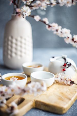 Spring floral concept with apricot blossom surrounding tea set