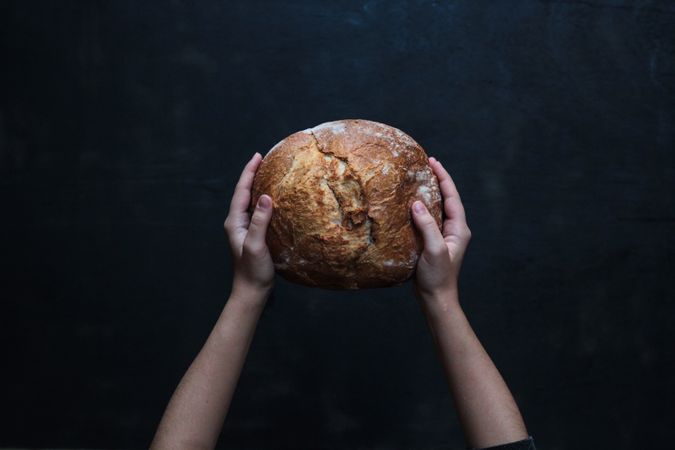Freshly baked rye round bread in hands