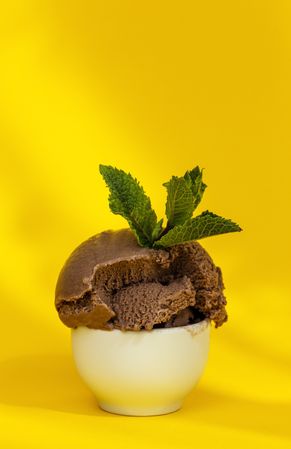 Chocolate ice cream with mint leaves