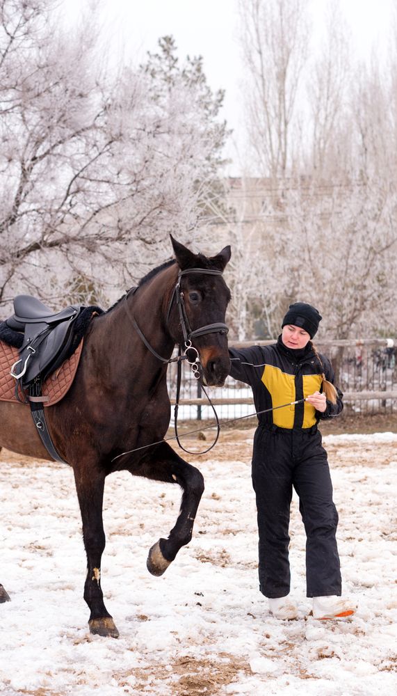 Person leading a lively horse in snow. Dressage.