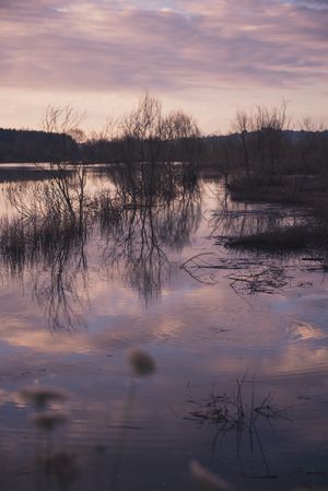 Cloudy evening sky over calm lake