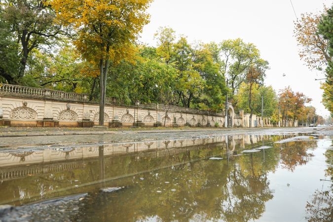 Rainy, autumn, city park in the morning