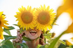 Cheerful boy covering eyes with sunflowers in field