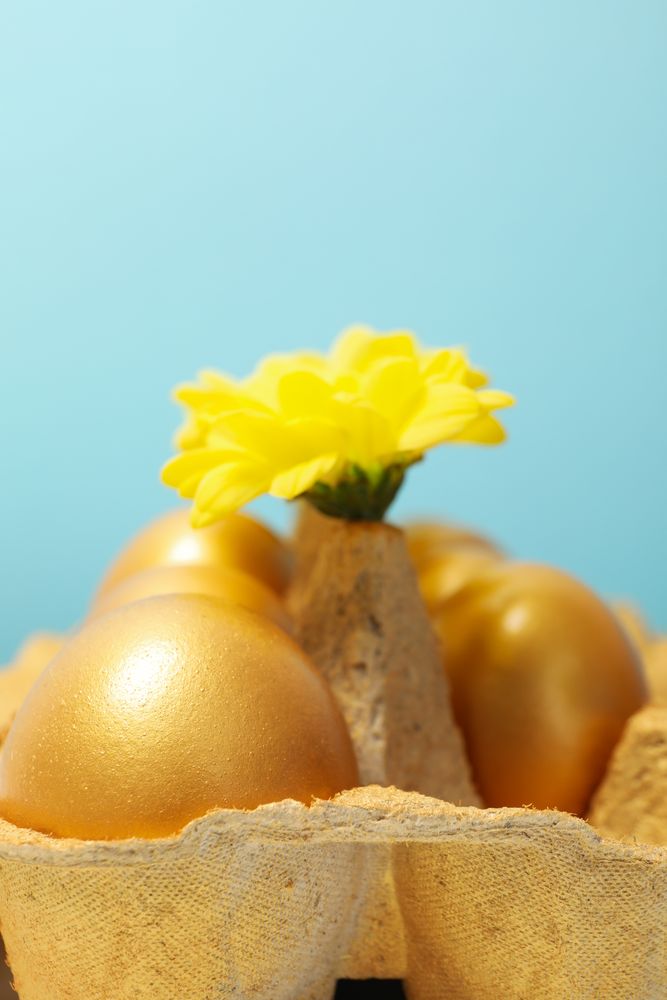 Pension rewards, returns and investment funding concepts, golden eggs