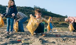 Volunteers cleaning the beach