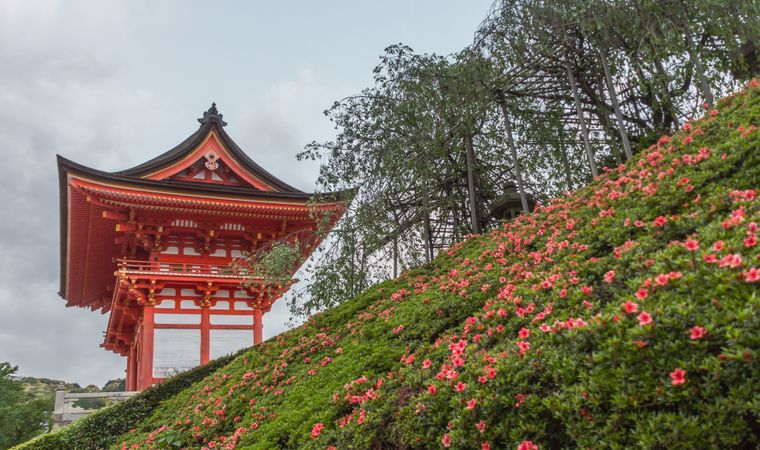 Beautiful zen park on cloudy day