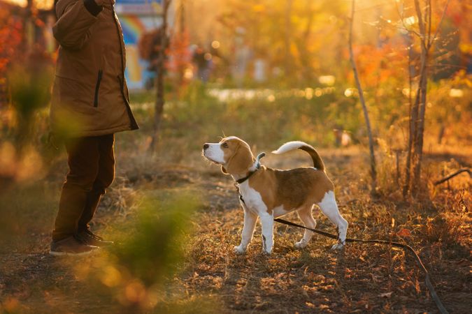 Little boy with dog