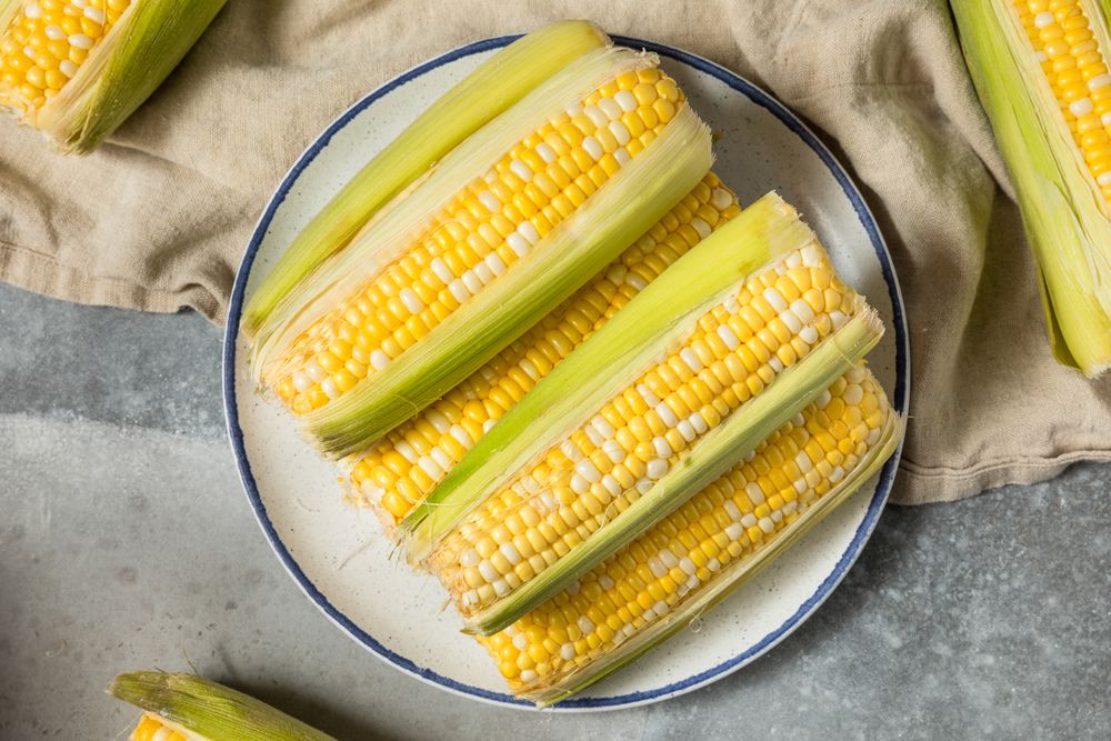 Multi Colored Sweet Corn on the Cob