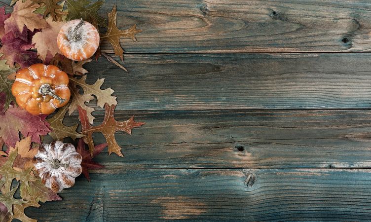 Autumn decoration of leaves and pumpkins on faded blue wood