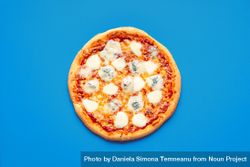 Homemade cheese pizza minimalist on a blue background 5kLk64