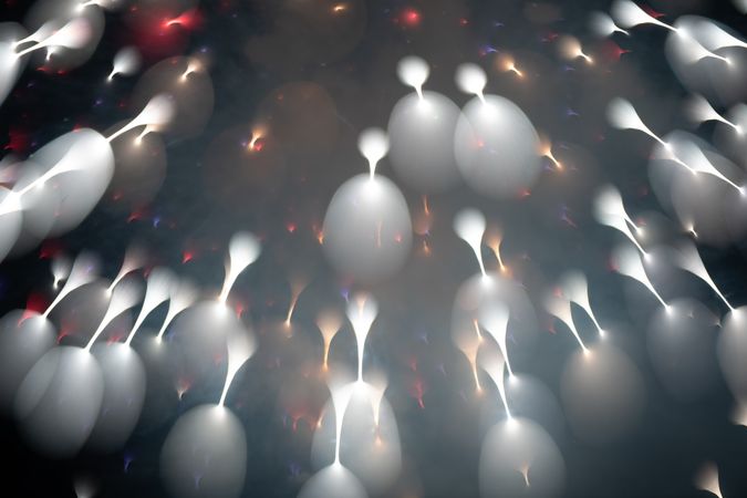 Bright fireworks on night sky