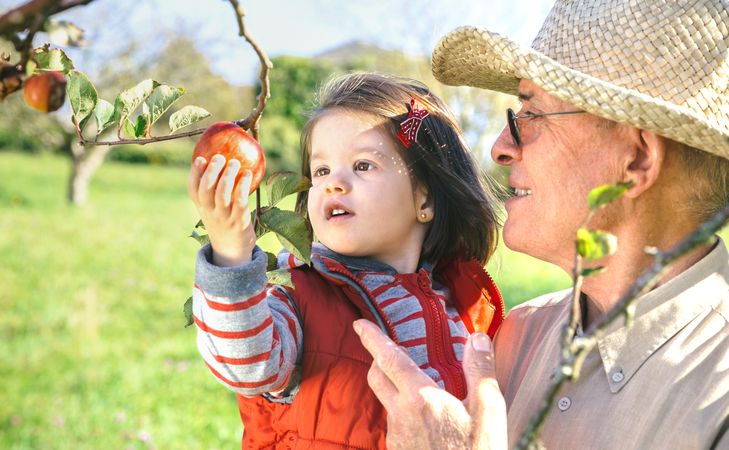 Mature man holding adorable little girl picking apples