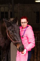 Vet giving an apple as a treat to a horse
