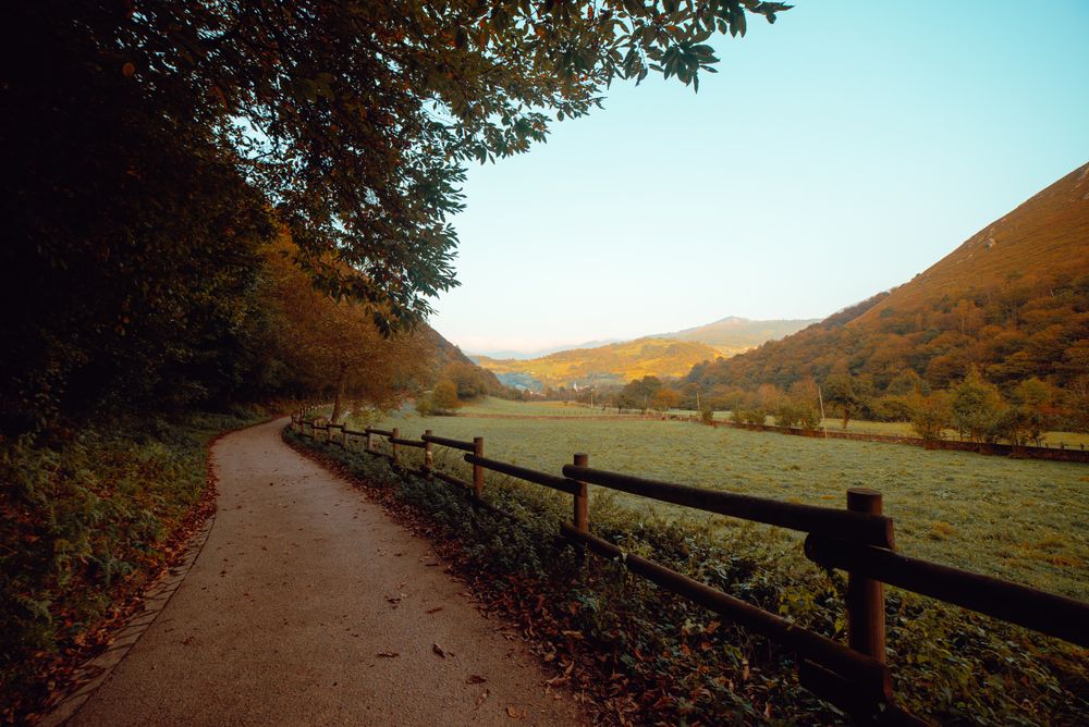 Picturesque view narrow route between verdant plantations on hills and small village in Malaysia