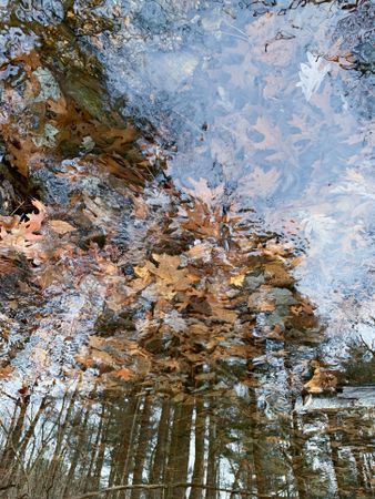 Reflections in fall