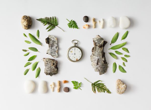 Layout made of leaves, stones, and tree bark on light background with clock
