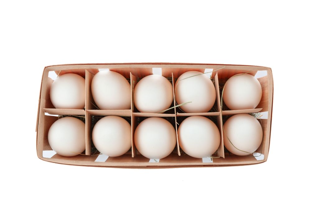 chicken eggs in carton box isolated on plain background, top view