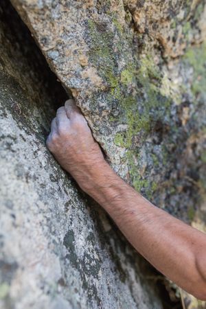 Hand of man climbing rock