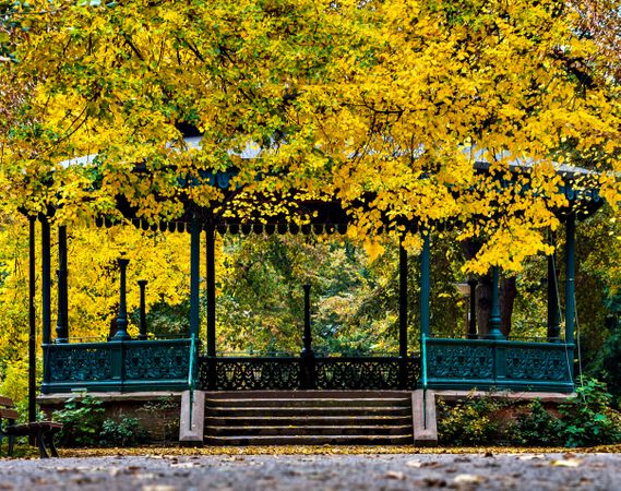 Autumn colors in the city of Strasbourg. Yellow, red, orange