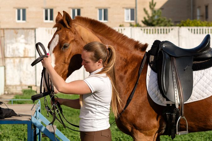 Equestrian adjusting bridle on horse